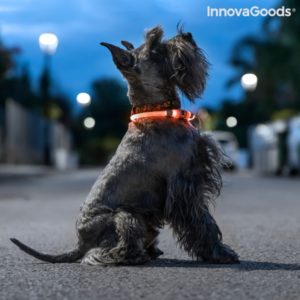 Светеща каишка за кучета InnovaGoods