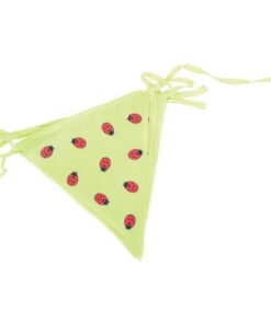 Градински парти гирлянд с калинки Bigjigs