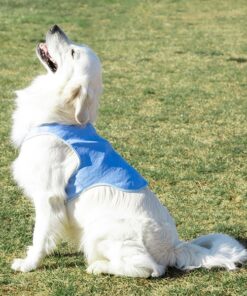 Голяма охлаждаща жилетка за кучета InnovaGoods