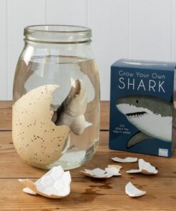 Детски изследователски комплект с акула и яйце Rex London