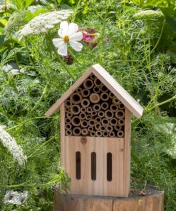 Дървена къща за насекоми Rex London