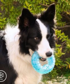 Играчка за дъвчене за домашни любимци InnovaGoods