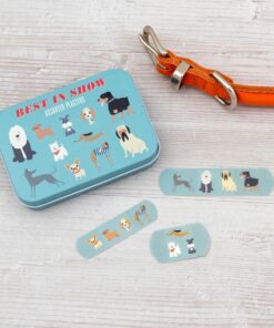 Лепенки за рани Най-добрият в шоуто Rex London