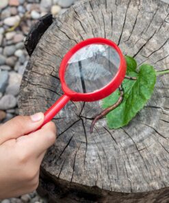 Лупа за деца Чудесата на природата Rex London