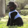 Охлаждаща жилетка за кучета InnovaGoods