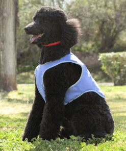 Охлаждаща жилетка за кучета InnovaGoods