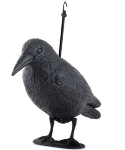 Уред за градина за прогонване на птици Гарван