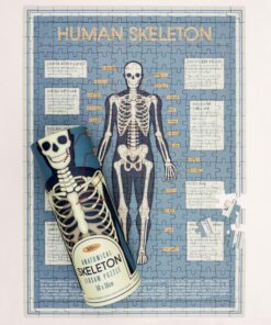 Детски пъзел в тубус Анатомичен скелет Rex London