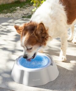 Охлаждаща купа за вода за домашни любимци InnovaGoods