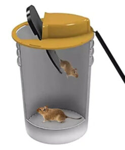 Кофа капан с капак за мишки и плъхове