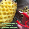 Уред за рязане на ананас нож за плодове