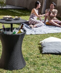 Градинска хладилна маса 3 в 1 Frizzble InnovaGoods