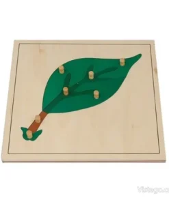 Ботанически пъзел за деца – листо
