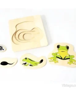 Многослоен пъзел за цикъла на живота - Жаба