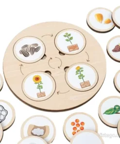 Образователна игра за кръговрат на живота