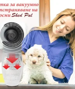 четка