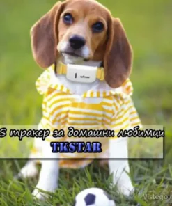 домашни любимци