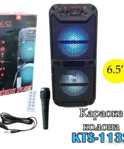 Караоке колона за забавни музикални вечери