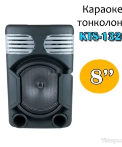 Караоке тонколона за домашни забавления - 8 инча