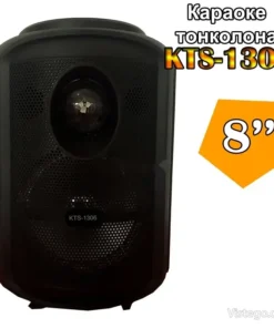 Караоке тонколона за забавления у дома
