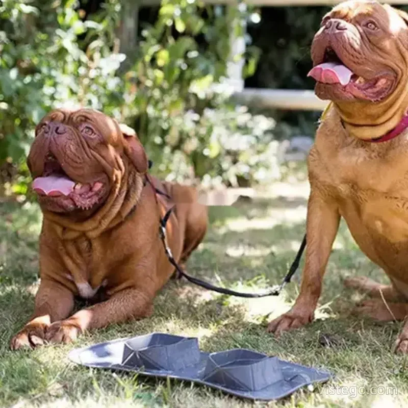 Силиконови купи за любимец – Portable pet bowl - 11