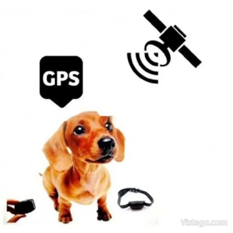 Тракер за домашни любимци с GPS Positioner - 4